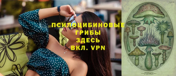 гашик Алексеевка