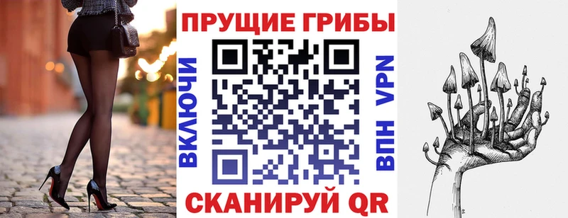 OMG маркетплейс  Апатиты  Псилоцибиновые грибы GOLDEN TEACHER  купить наркотики сайты 